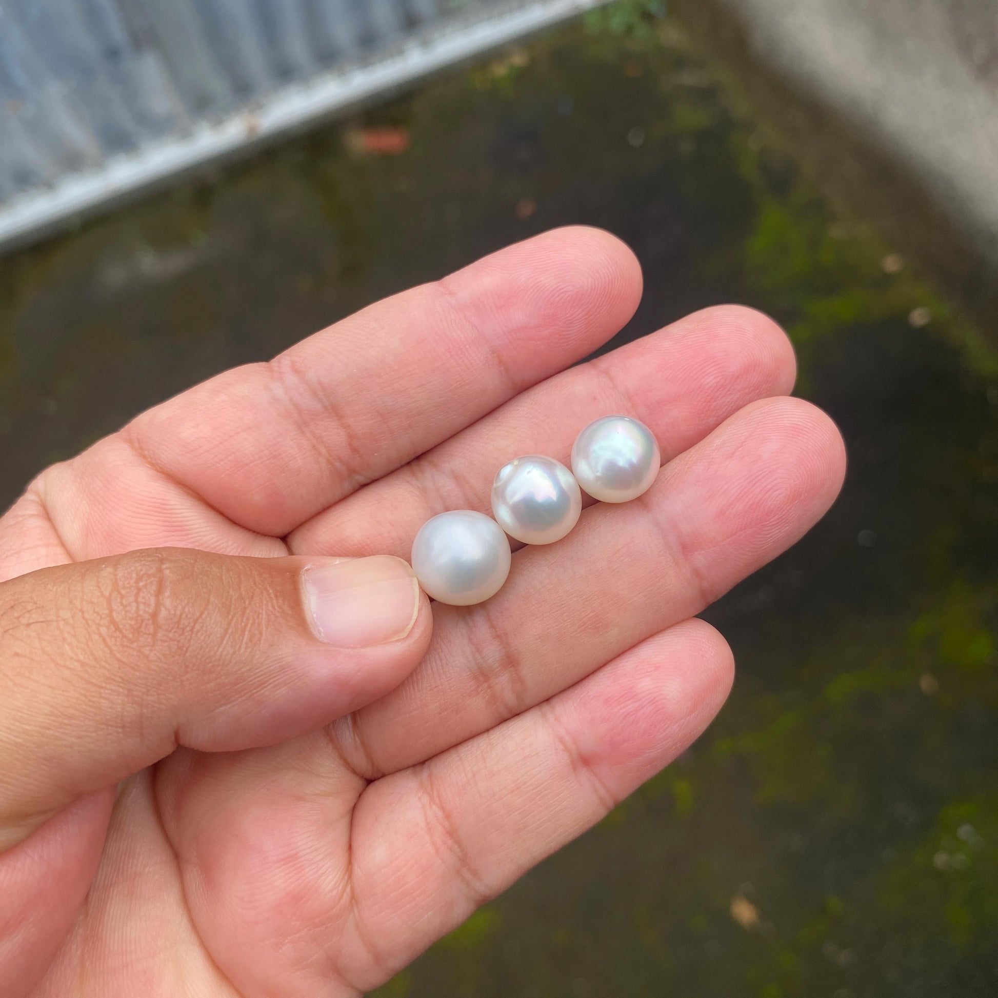 3 Pieces 10.5-11.5mm Loose South Sea Pearl Seawater Pearl Beads Sea Pearl (Amr-1) BoZorX