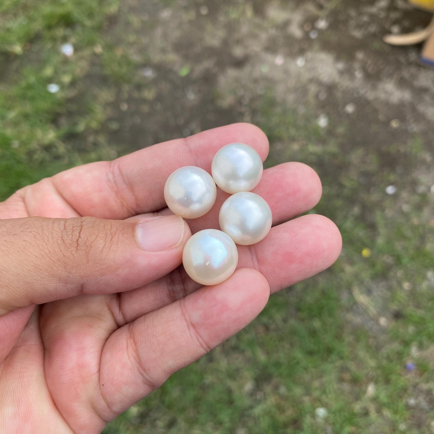 4 Pieces 15mm High Grade Big Size Limited South Sea Pearl Seawater Pearl Saltwater Pearl Undrilled