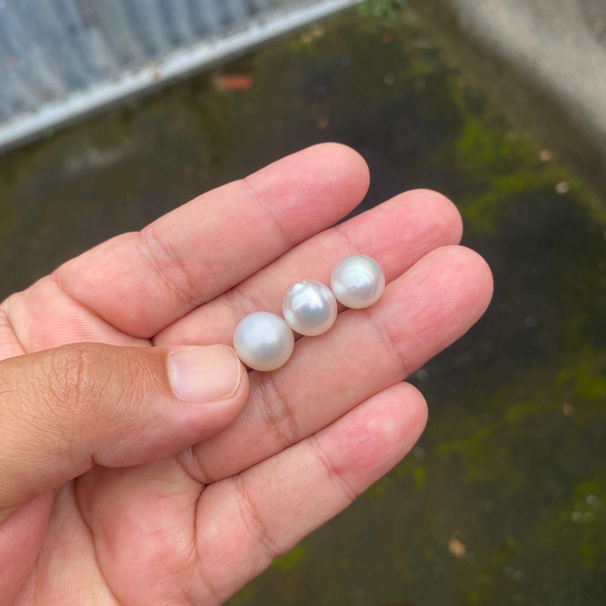 3 Pieces 10.5-11.5mm Loose South Sea Pearl Seawater Pearl Beads Sea Pearl (Amr-1) BoZorX