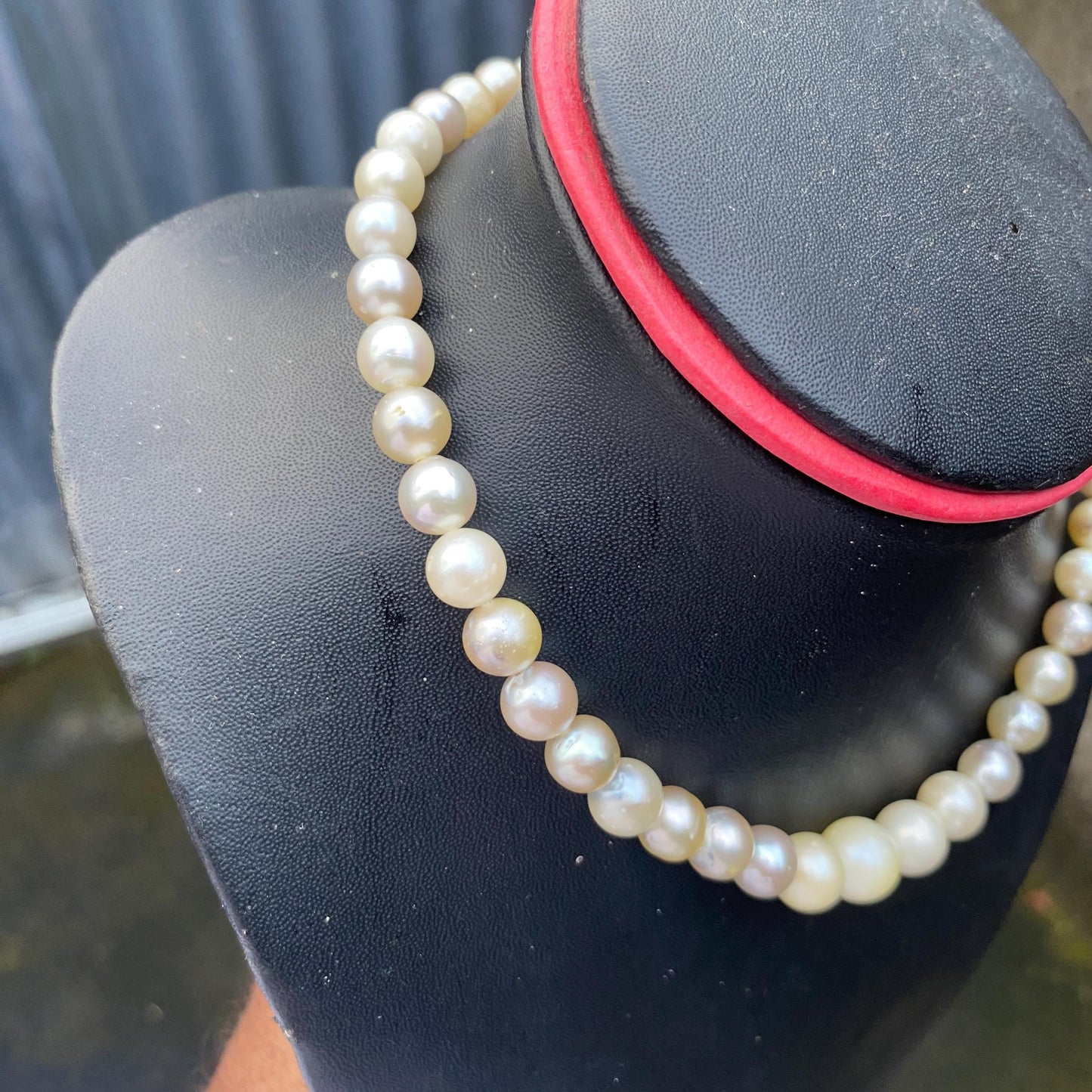 South Sea Pearl Saltwater Seawater Pearl Necklace  (F-15) BoZorX