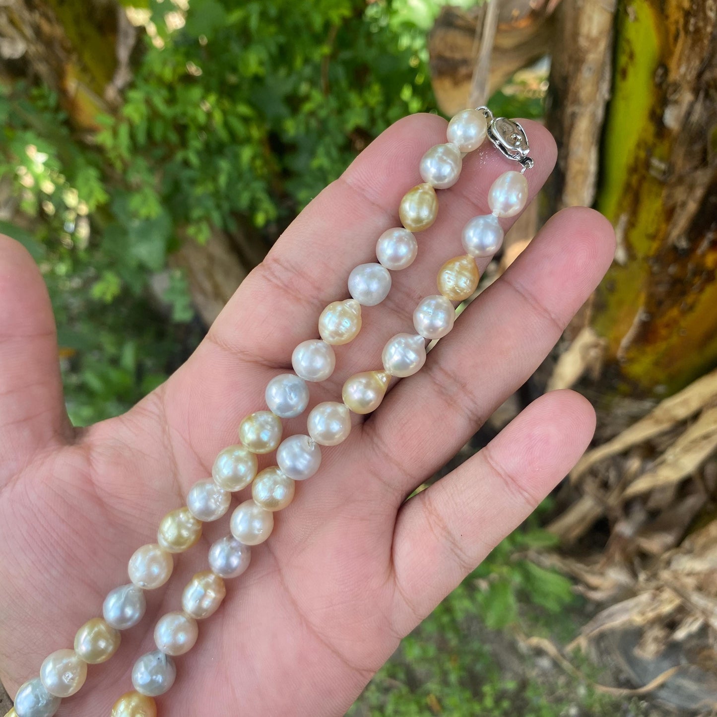 Real south sea pearl saltwater pearl seawater pearl Necklace Pearl size 7.8mm-10mm (BroE-1) BoZorX